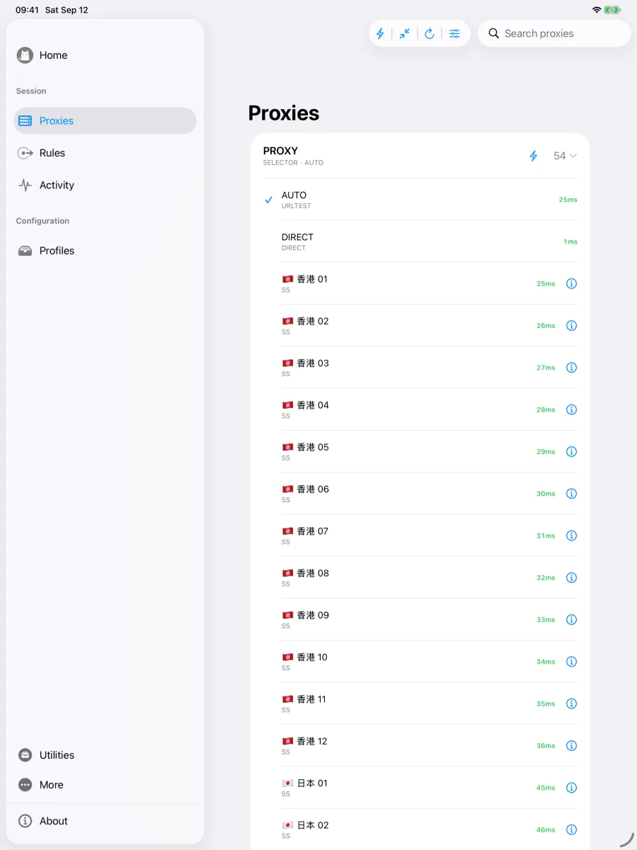 Proxy groups and nodes on iPad after opening Proxies from the sidebar