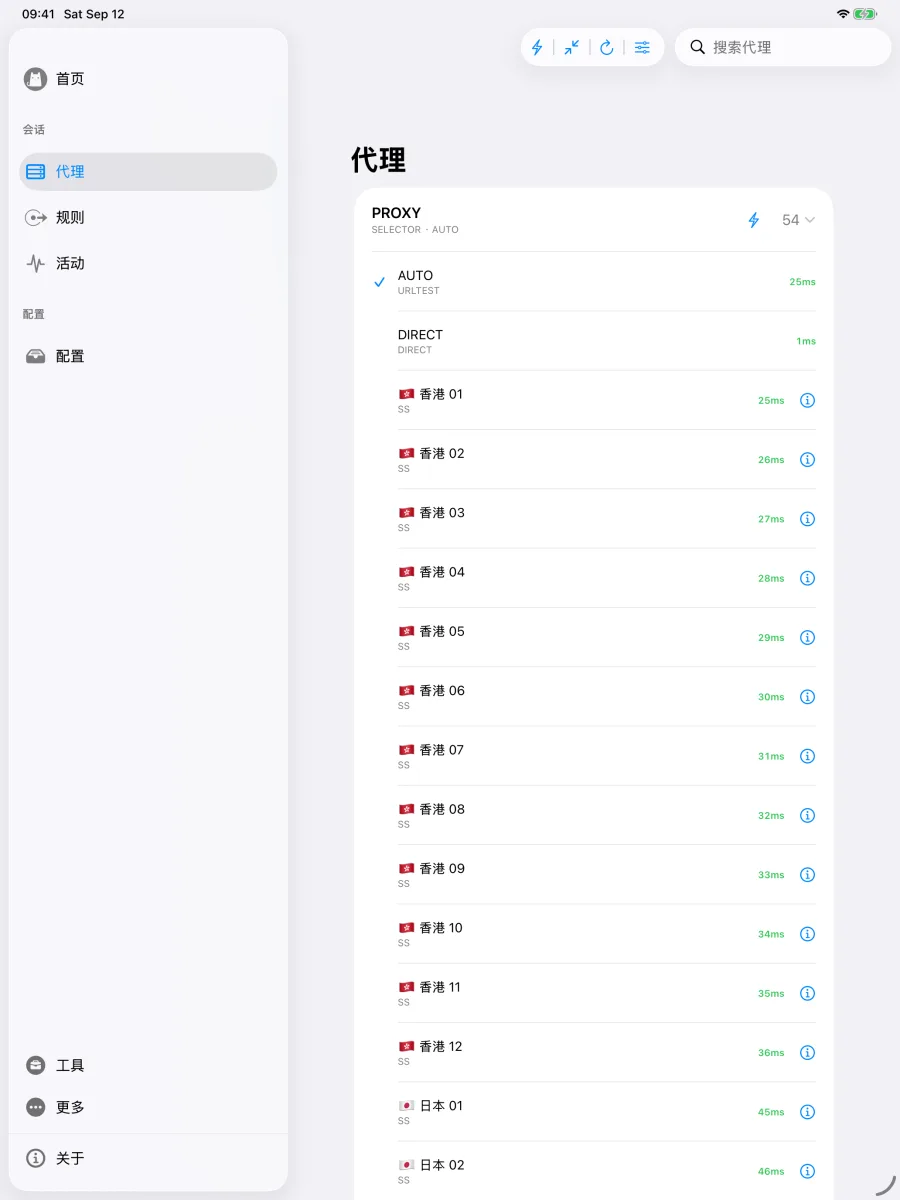 iPad 上从左侧栏进入代理后的分组和节点列表