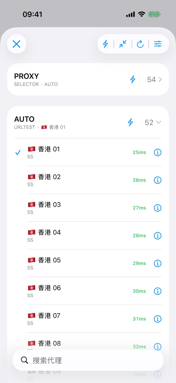 iPhone 上的代理页面，展开的分组中有一个节点带蓝色勾选和延迟